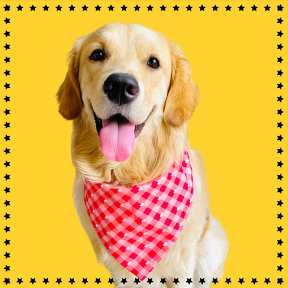 Red Plaid Style Sailor Bow And Bandana - Dog Combo