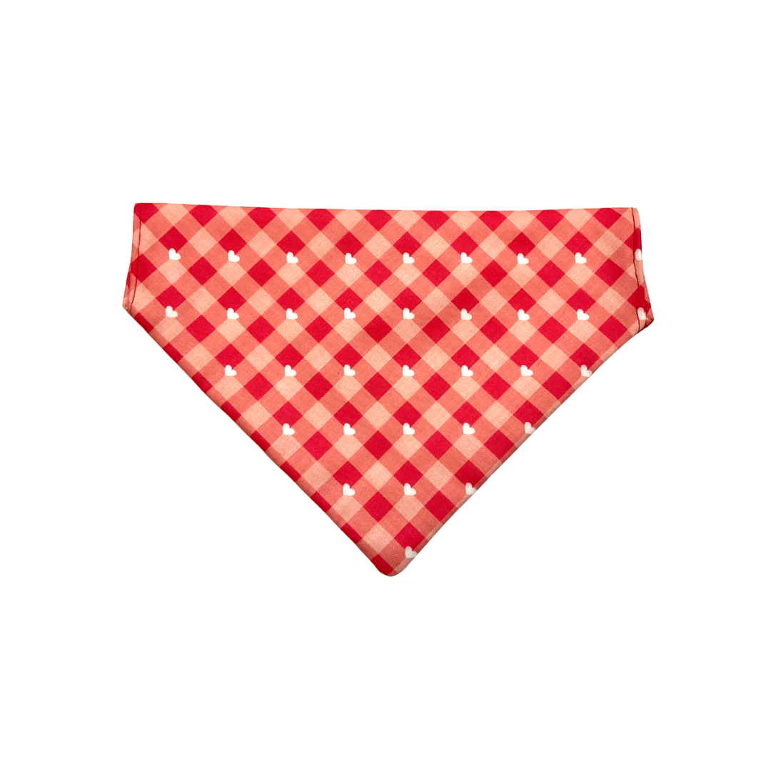 Red Plaid Style Bow And Bandana - Cat Combo