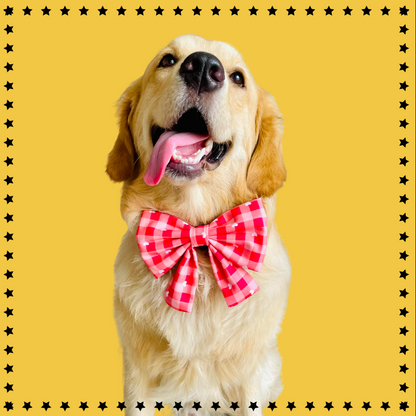 Red Plaid Style Sailor Bow And Bandana - Dog Combo