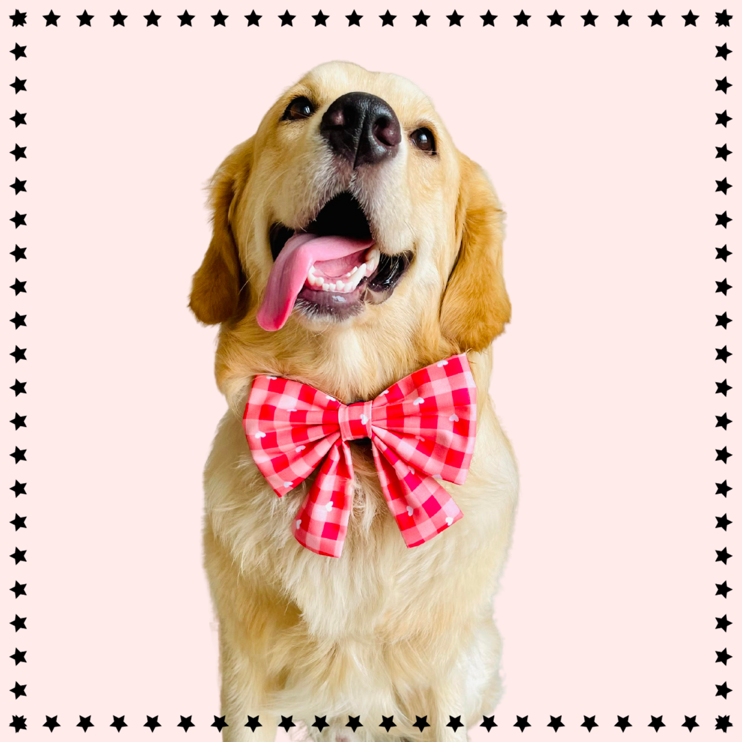 Shop Dog Bows from Wags4Whiskers