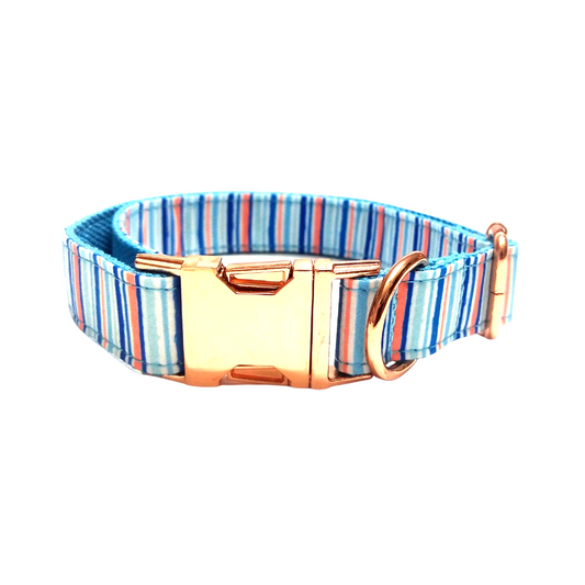 Dog collars from wags4whiskers