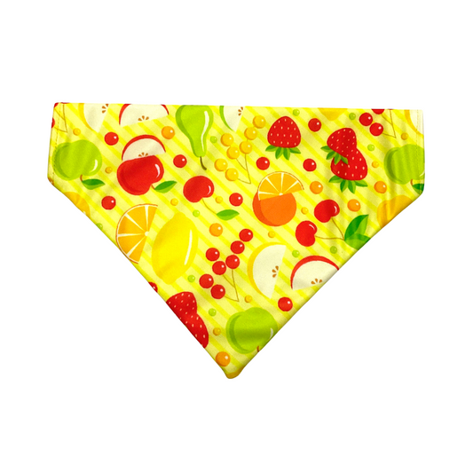 Fruity Love Cat Bandana from Wags4Whiskers