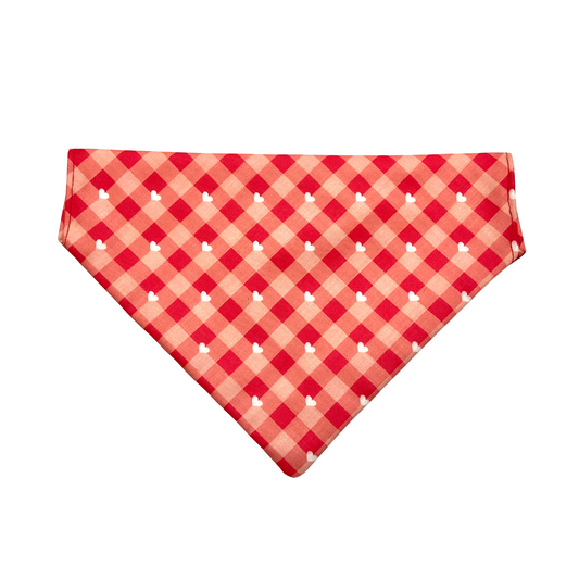 Red hearts Dog Bandana from Wags4Whiskers