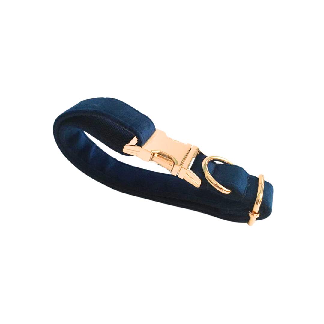 Blue Velvet Dog collars from wags4whiskers pet supplies store