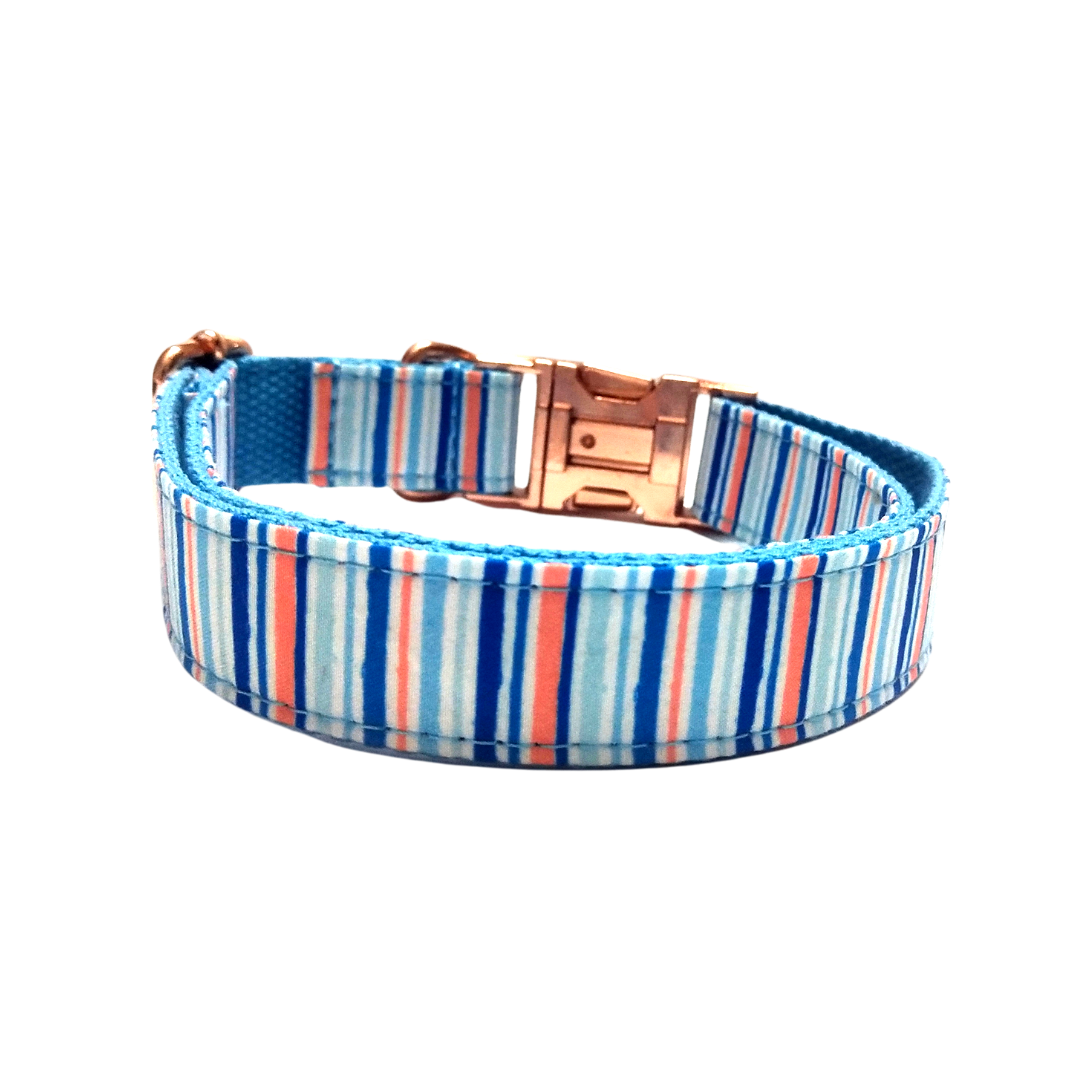 collars for dogs from wags4whiskers pet store online