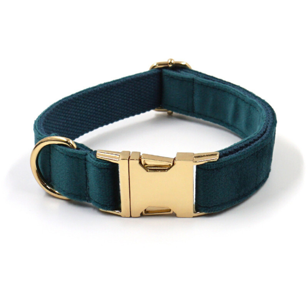 green velvet dog collars from wags4whiskers per supplies store