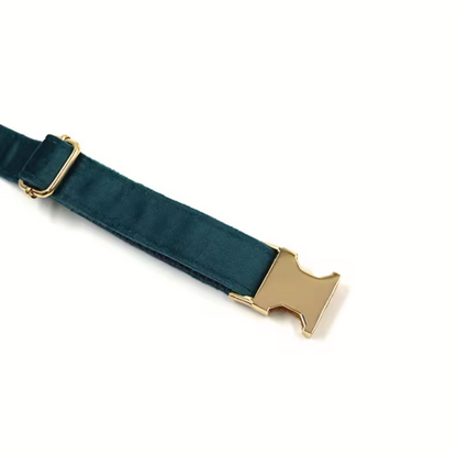 green velvet dog collars from wags4whiskers per supplies store