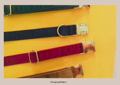 product video of the blue velvet dog collars from wags4whiskers